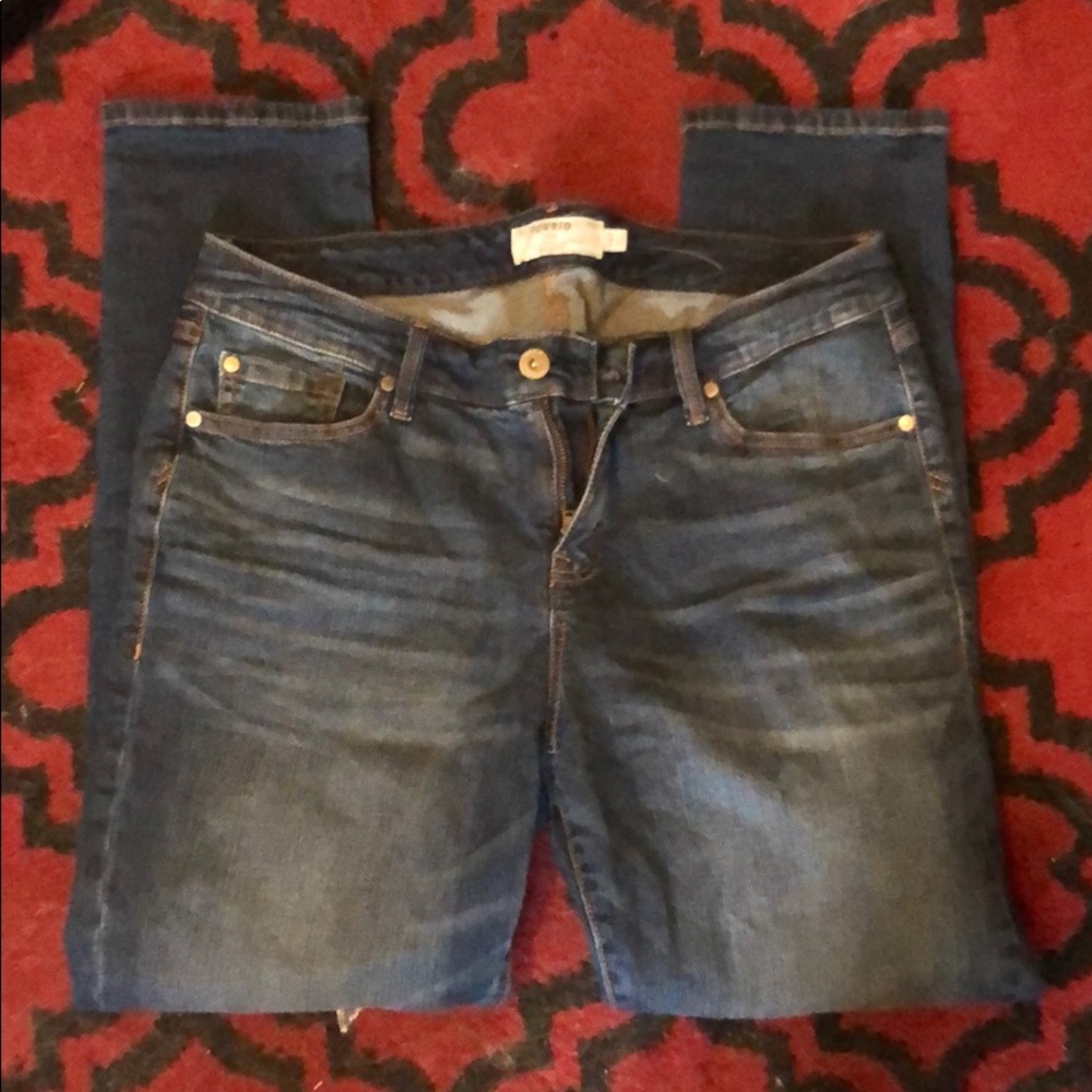 Torrid Blue Denim Jeans